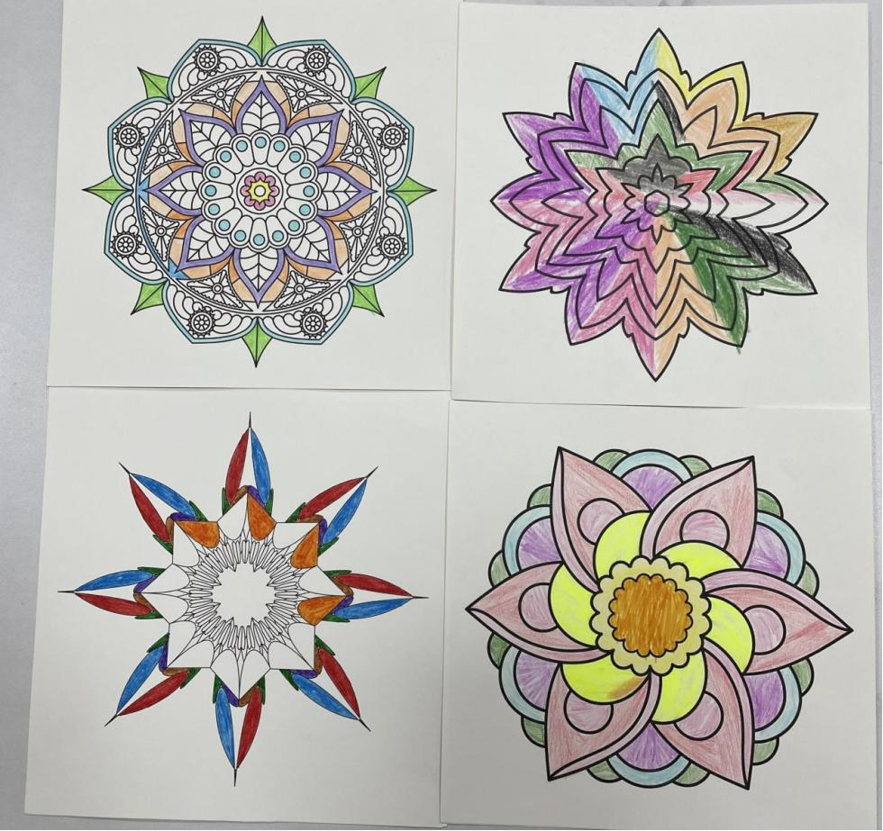 图片1.png 图片1.png