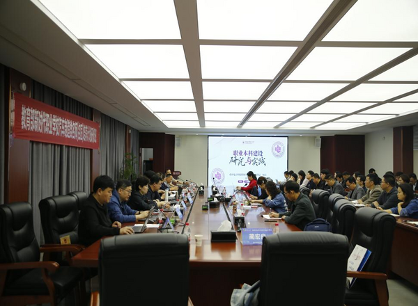 图片 5.png
